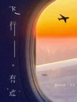 Flight Traces Cover