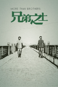 Cover of More Than Brothers