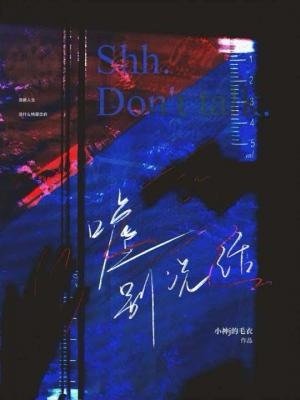 Shh, Don’t Talk Cover