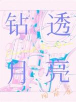 Drill Through The Moon Cover